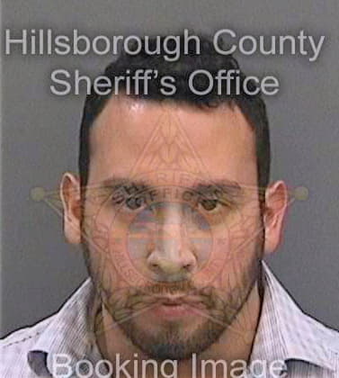 Guerrero Sergio - Hillsborough County, FL 