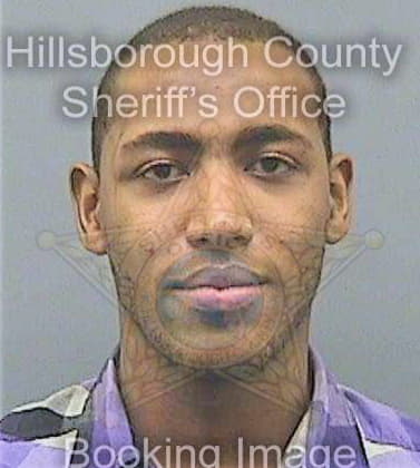 Dias Damion - Hillsborough County, FL 