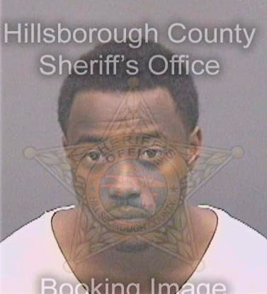 Davis Eric - Hillsborough County, FL 