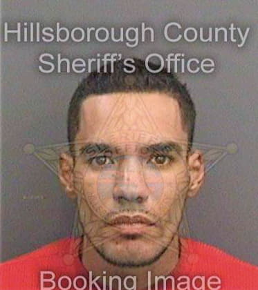 Lopez Jose - Hillsborough County, FL 