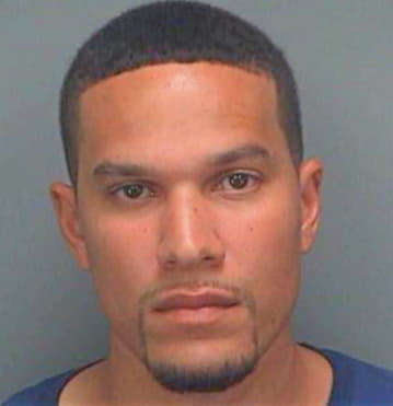 Dixon Joshua - Pinellas County, FL 