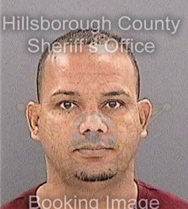 Ferrermelendez Rafael - Hillsborough County, FL 