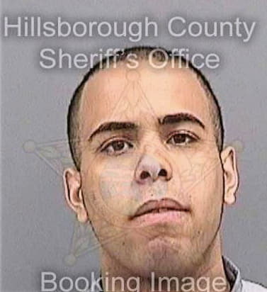 Dominguez Yunier - Hillsborough County, FL 