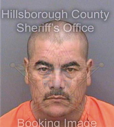 Deleon Martin - Hillsborough County, FL 