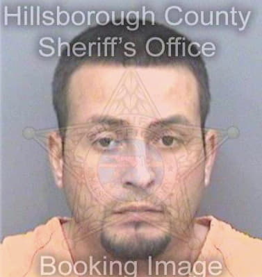 Fernandez Luis - Hillsborough County, FL 