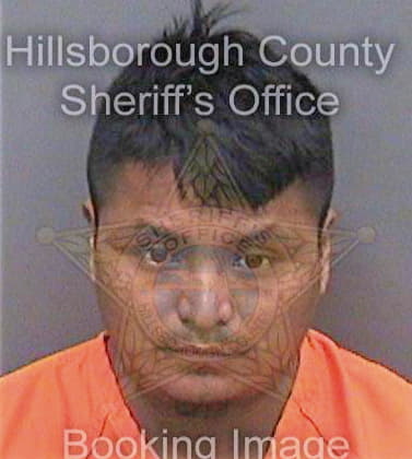 Jimenezperez Agustin - Hillsborough County, FL 