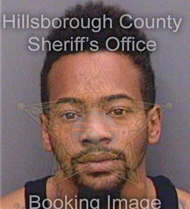Mcduffie Alphonso - Hillsborough County, FL 