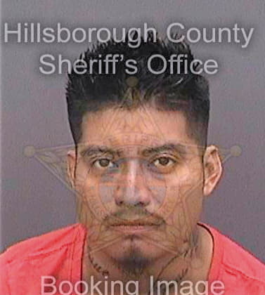 Perezperez Josue - Hillsborough County, FL 