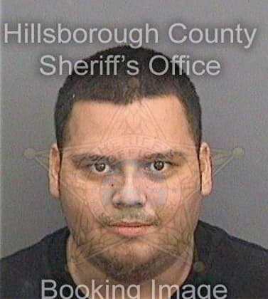 Dealejandrorodriguez Raul - Hillsborough County, FL 