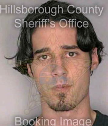 Stephens Robert - Hillsborough County, FL 