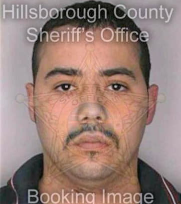 Santiago Carlos - Hillsborough County, FL 