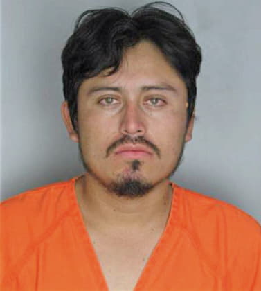 Lopezramirez Mario - Hillsborough County, FL 