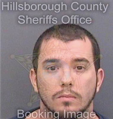 Huckle Anthony - Hillsborough County, FL 