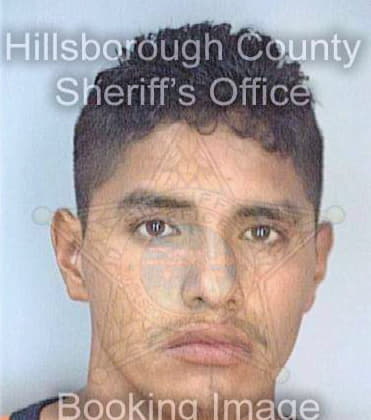 Pizanorodriguez Salvador - Hillsborough County, FL 