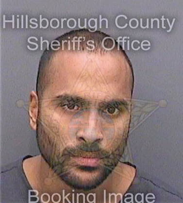 Hamid Aleem - Hillsborough County, FL 