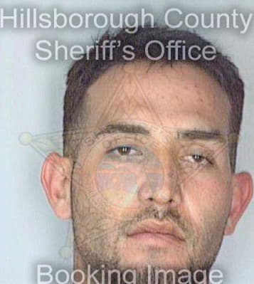 Santos Luis - Hillsborough County, FL 