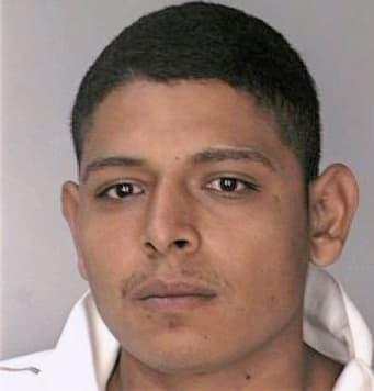 Mendez Antonio - Hillsborough County, FL 