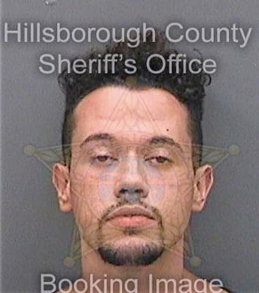 Hernandez Justin - Hillsborough County, FL 