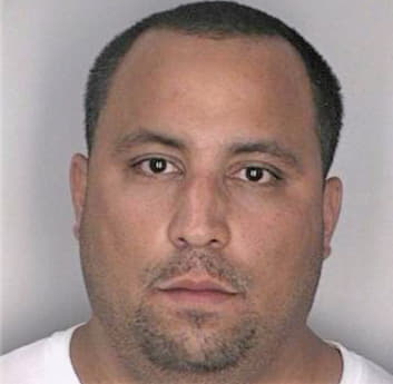 Cardona Vincent - Hillsborough County, FL 