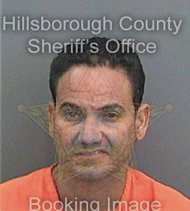 Delsolgonzalez Yoel - Hillsborough County, FL 