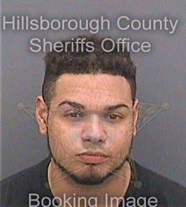 Giles Andre - Hillsborough County, FL 