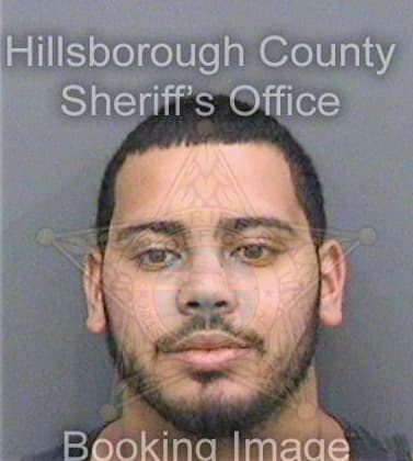 Garcia Kevin - Hillsborough County, FL 