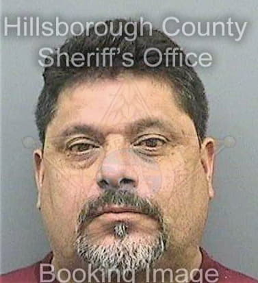 Dena David - Hillsborough County, FL 