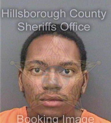 Despanza Gavin - Hillsborough County, FL 