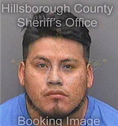 Josejose Miguel - Hillsborough County, FL 