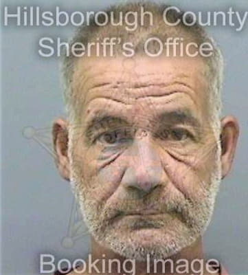 Brozzetti Brian - Hillsborough County, FL 