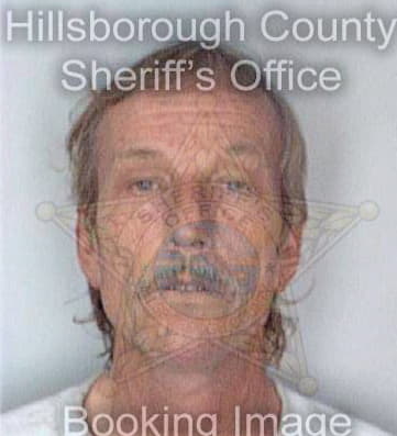 Chamberlain David - Hillsborough County, FL 