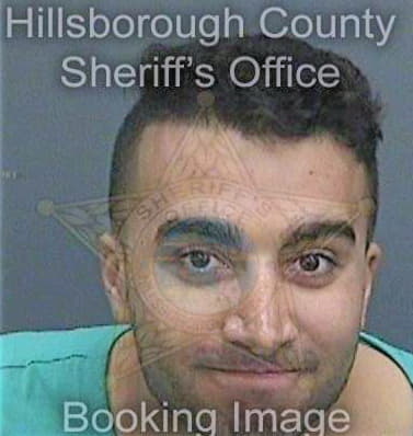 Elhelw Ahmed - Hillsborough County, FL 