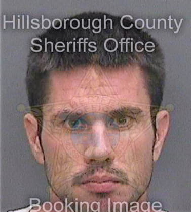 Stephens David - Hillsborough County, FL 