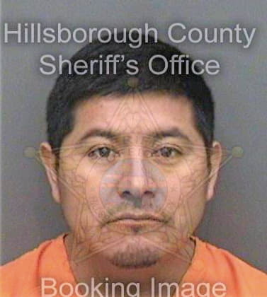 Ramosalvarado Esdras - Hillsborough County, FL 