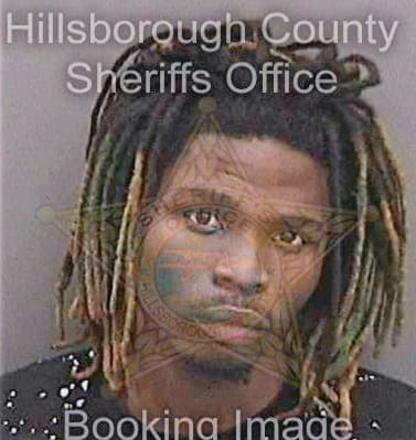 Mckinney Xavier - Hillsborough County, FL 