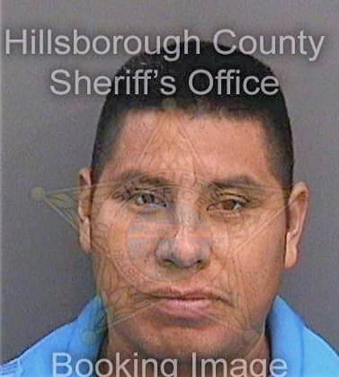 Dejesusmerino Cayetano - Hillsborough County, FL 