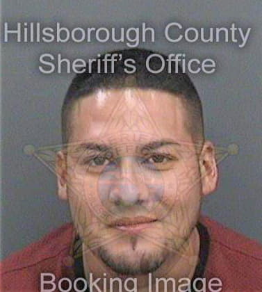 Sibrian Jonny - Hillsborough County, FL 