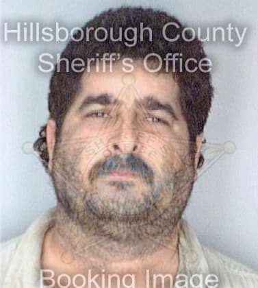 Hughes Lewis - Hillsborough County, FL 