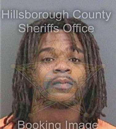 Brookins Roshard - Hillsborough County, FL 