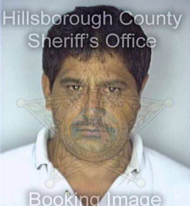 Marin Gerardo - Hillsborough County, FL 