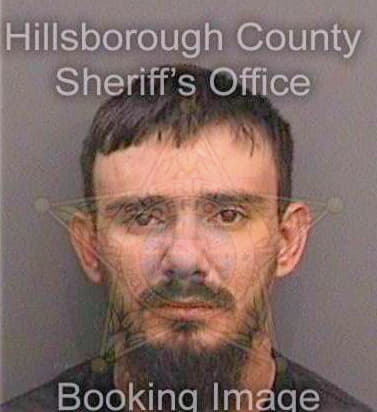 Stevens Pedro - Hillsborough County, FL 