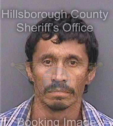 Sandoval-Alejo Martin - Hillsborough County, FL 