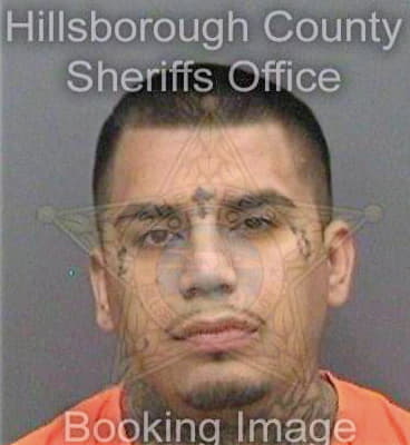 Ledesma Ricky - Hillsborough County, FL 