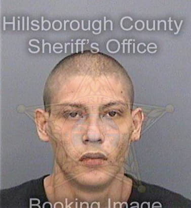 Vasquez Wenceslao - Hillsborough County, FL 