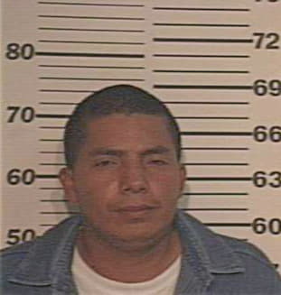 Espinoz Alejandro - Hidalgo County, TX 