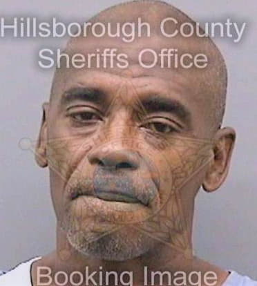Mcghee Anthony - Hillsborough County, FL 