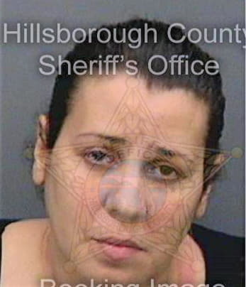 Torres Milagros - Hillsborough County, FL 