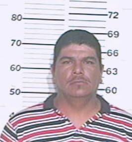 Hernandez Antonio - Hidalgo County, TX 