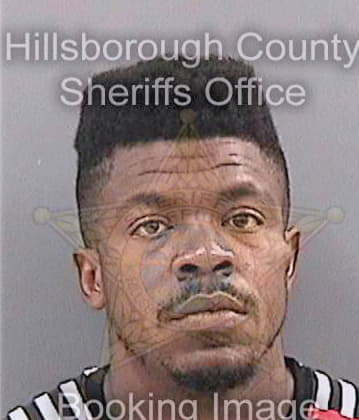 Borden Dario - Hillsborough County, FL 