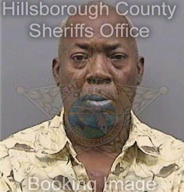 Mcdaniel Theodore - Hillsborough County, FL 